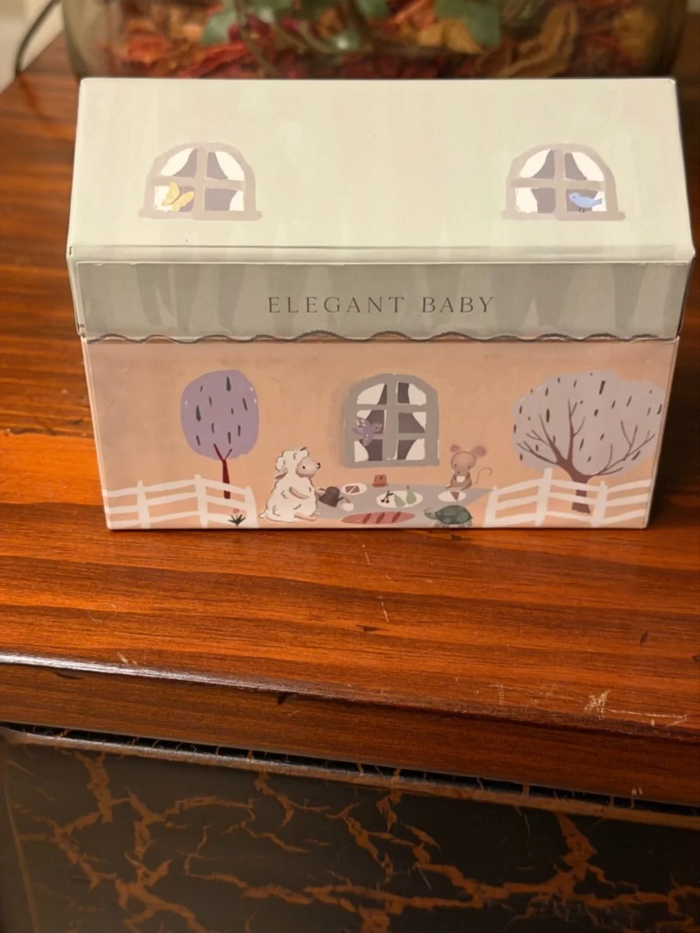 ELEGANT BABY infant GARDEN PICNIC NON SLIP SOCKS 6PK